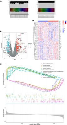 Screening of potential biomarkers in peripheral blood of patients with depression based on weighted gene co-expression network analysis and machine learning algorithms